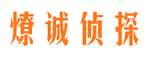 石林市场调查